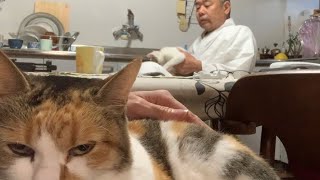 あたしゃ知らないからね。