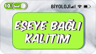 10. Sınıf Eşeye Bağlı Kalıtım  Basit Konu Anlatım #2023