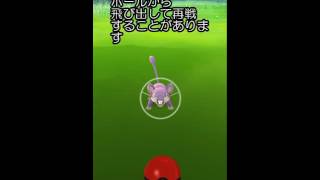 ポケモン 逃げられた Youtube