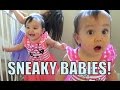 SNEAKY SNEAKY BABIES! - May 03, 2015 -  ItsJudysLife Vlogs