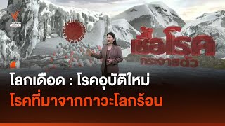 ซีรีส์ "โลกเดือด" ตอน 3 โรคอุบัติใหม่ที่มาจากภาวะโลกร้อน | Thai PBS News