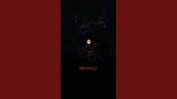 أرح قلبك قليلًا 💚🌿 #تلاوة_خاشعة #تلاوة_مؤثرة #إسلام_صبحي