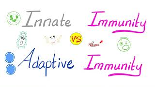 Innate Immunity vs Adaptive Immunity | Complement System | Physiology Lectures Series