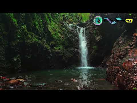 Abdel Aziz Sheim Emotional Quran Recitation HD 