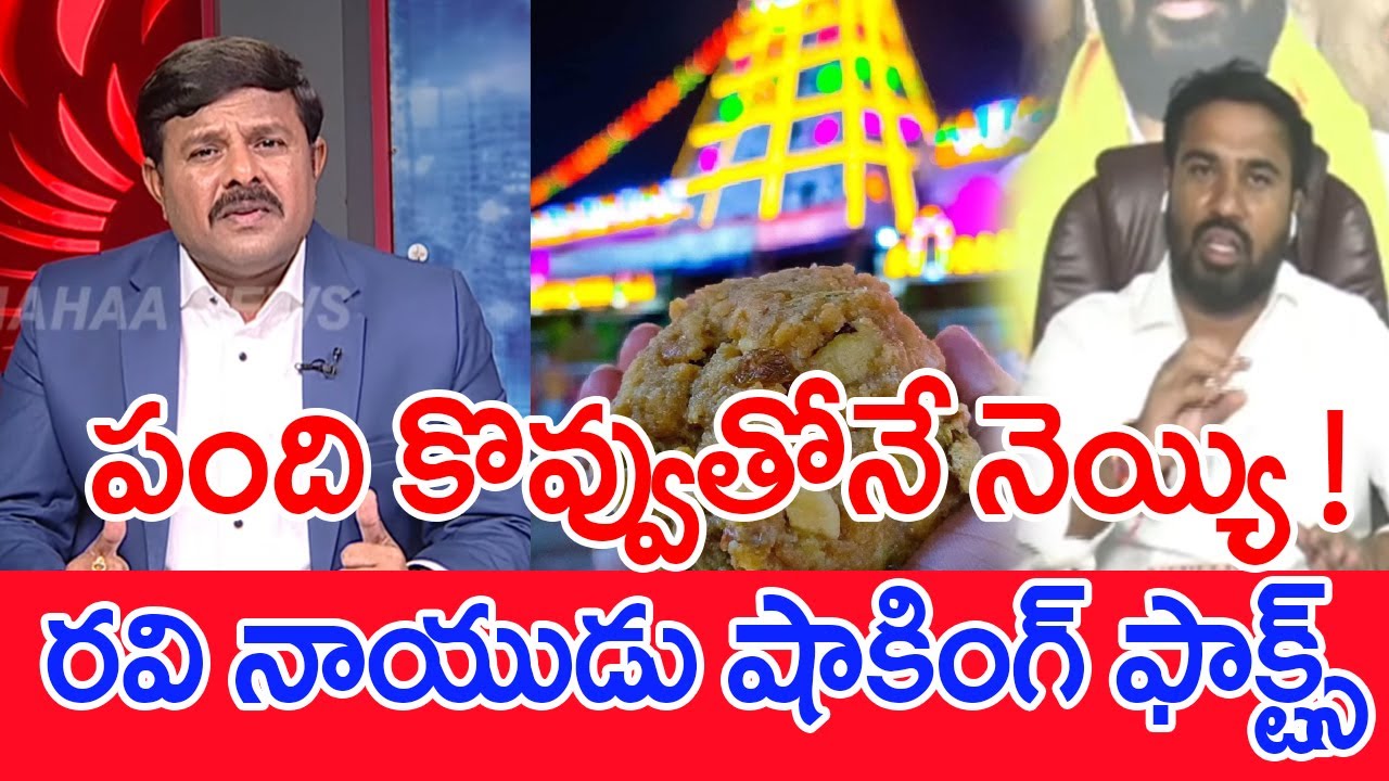 పంది కొవ్వుతోనే నెయ్యి..! రవి నాయుడు షాకింగ్ ఫాక్ట్స్..: SAP Chairman Ravi naidu Key facts