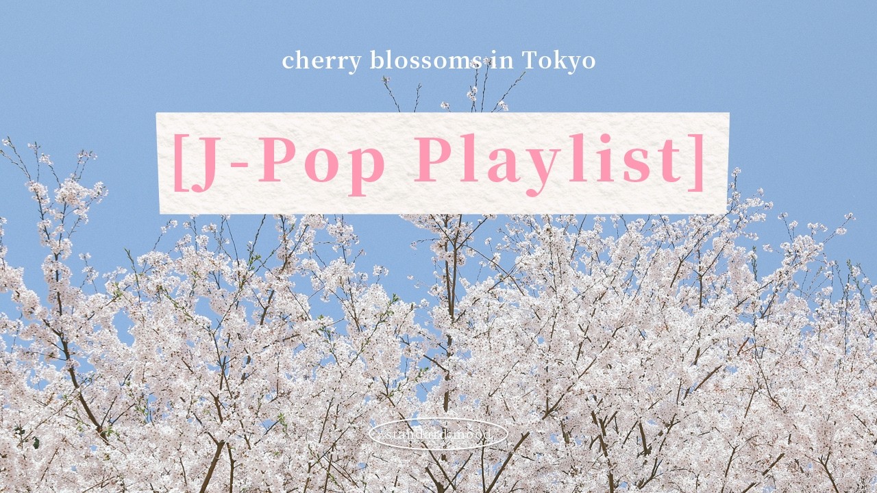 [Playlist] 벚꽃이 흩날리는 도쿄의 봄 🌸 J-pop 감성 플레이리스트 【J-POPメドレー】