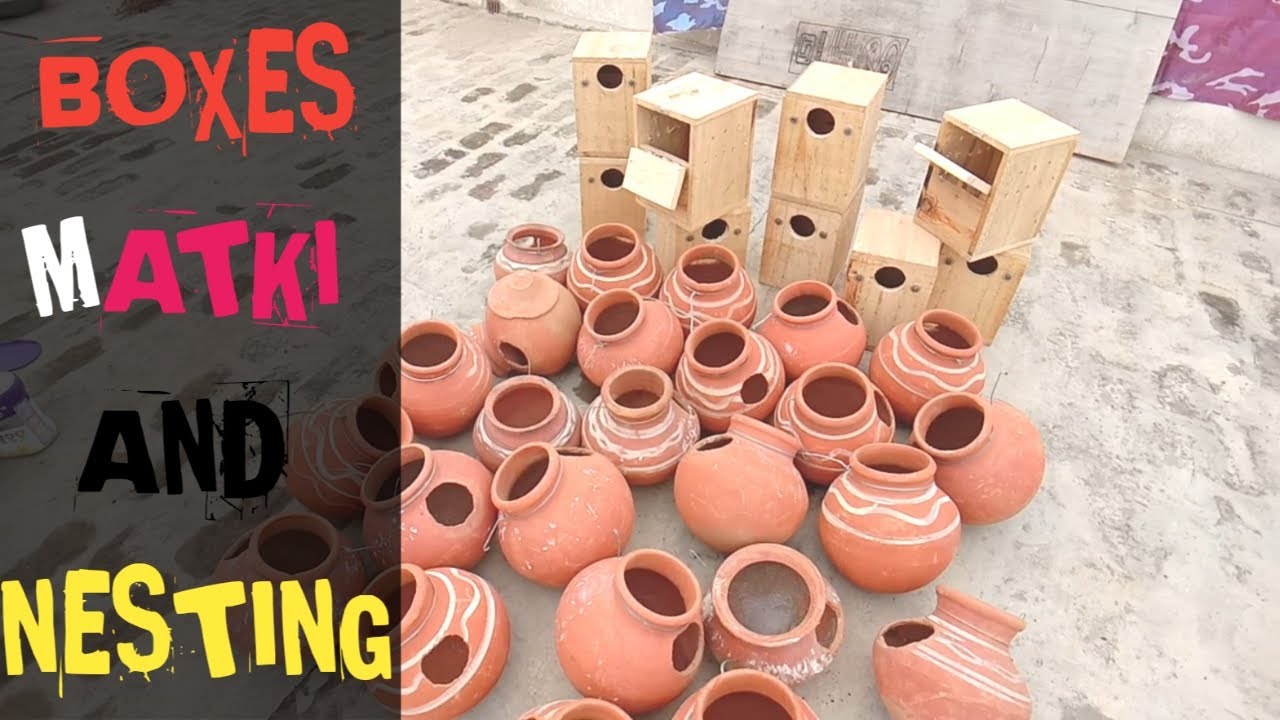 BOXES OR MATKIYA LAGA DI | NESTING KAISE KARE? 