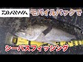 シーバス　デイゲーム！　ダイワのモバイルパックでシーバス釣り。