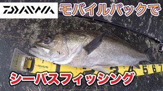 シーバス　デイゲーム！　ダイワのモバイルパックでシーバス釣り。