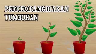 - kelas : 6 semester 2 mapel ipa judul perkembangbiakan tumbuhan
penyaji sunardi, s.pd no. hp 089605971990 email
sunardinardi445@gmai...