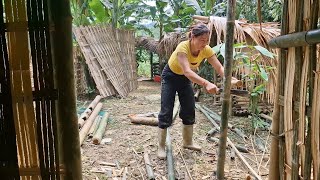 Húng Thị Bình _I will fill the kitchen with bamboo