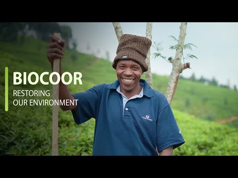 BIOCOOR - Doc Film