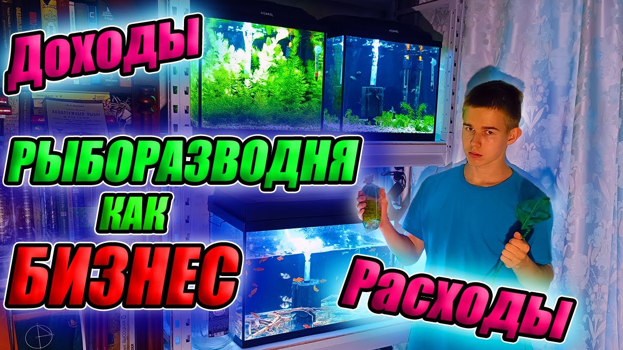 Смотреть видео