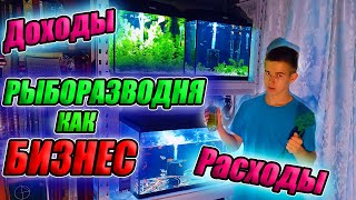 Рыборазводня как бизнес. Мои Доходы и Расходы с разводни!