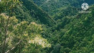 Bechawui Vol. 1B Shimreingam Horam