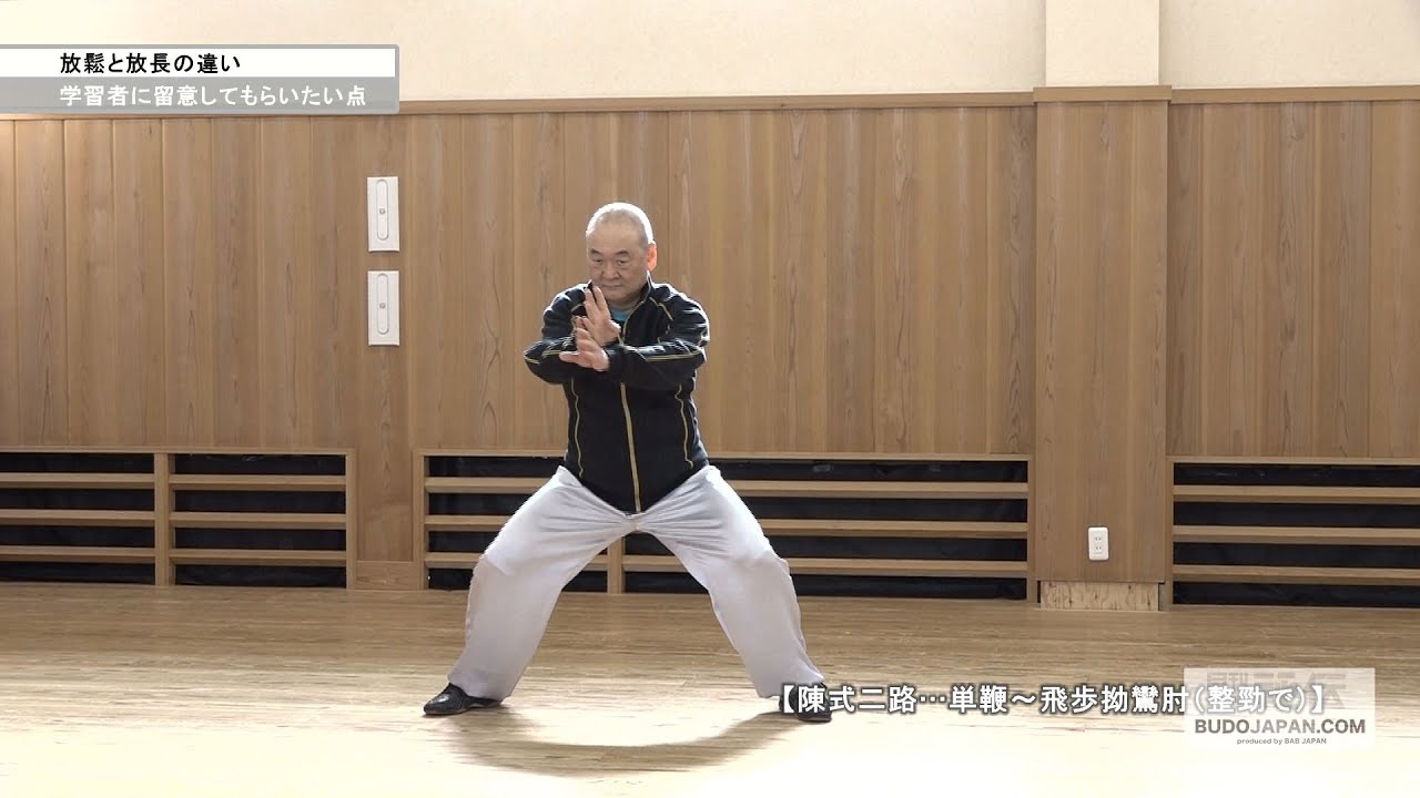 混元太極拳 陳氏太極拳 馮志強 出口衆太郎 VHS•DVDセット [動作確認済] 混元太極拳 陳氏太極拳 馮志強 出口衆太郎 VHS•DVDセット [