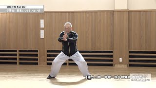 遠藤靖彦先生【放鬆と放長の違い】陳式二路の比較で学ぶ！　HOW TO MASTER KUNG FU IN CHEN STYLE TAI CHI 2
