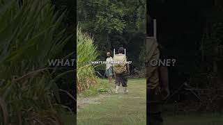 Rule - The Peanut Er Falcon