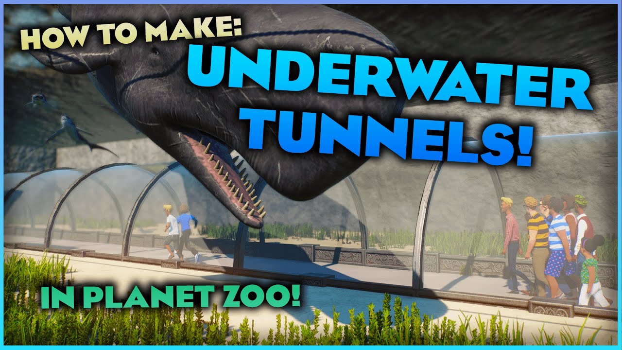 Making Functional, Underwater Tunnels in Zoo! YouTube