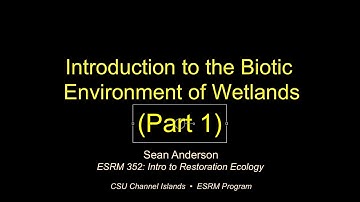 Intro the Biota of SoCal Wetlands (Part 1)