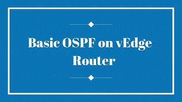 Cisco SD WAN Training - Basic OSPF on vEdge Router