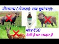 nilgai रोजड़ा भगाने का देसी तेल, nilgai bhagne ka desi jugad,स्पेशल नीलगाय को भगाने के लिए बनाया गया