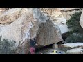 Joshua Tree - Scatterbrain V6