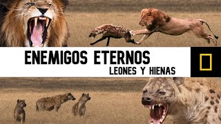 EL MEJOR DOCUMENTAL de la NAT GEO | NTWADUMELA , EL ASESINO DE HIENAS