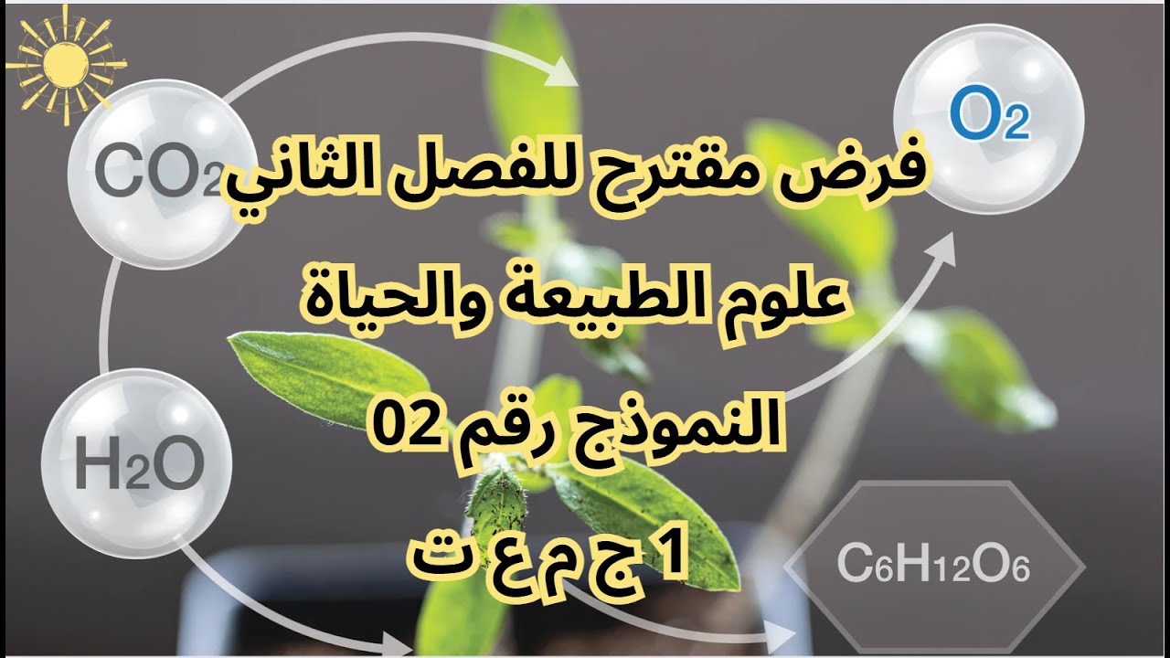 تربص العلامة الممتازة النموذج رقم 02 فرض الفصل الثاني علوم 1 ج م ع ت