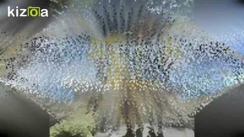 Kizoa Video Editor - Movie Maker: Copy of arjem