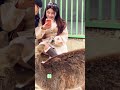 美しい外国人が奈良公園で鹿🦌の写真を撮る📸