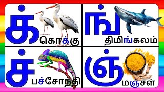 Mei eluthukkal/மெய் எழுத்துகள்/க் ங் ச் ஞ் ட்/ikuu igu ichu Tamil ezuthukkal/Tamil alphabets