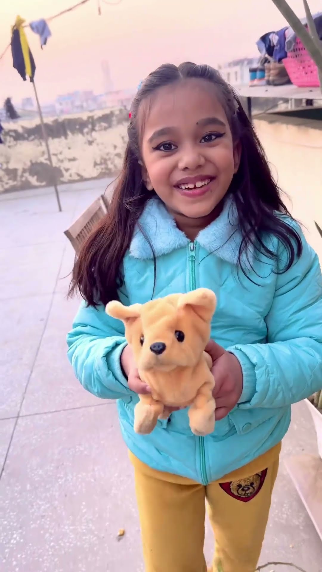 amaira ka pyara dog #shorts #amairagurjar