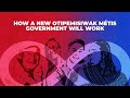 How the new mna government will work
