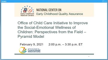 Perspectives from the Field on Implementing the Pyramid Model