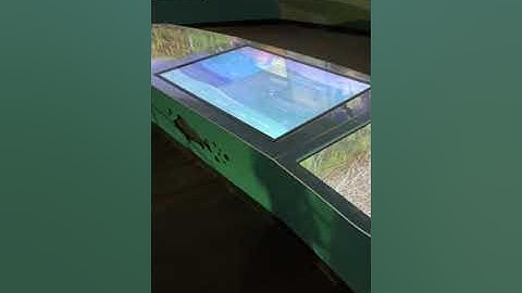 Interactive Displays - Exhibitry VISITS: Houston Museum of Natural Science