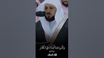 سورة الفتح | الشيخ ماهر المعيقلي | #quran #islamicvideo #sheikhmaheralmuaiqly