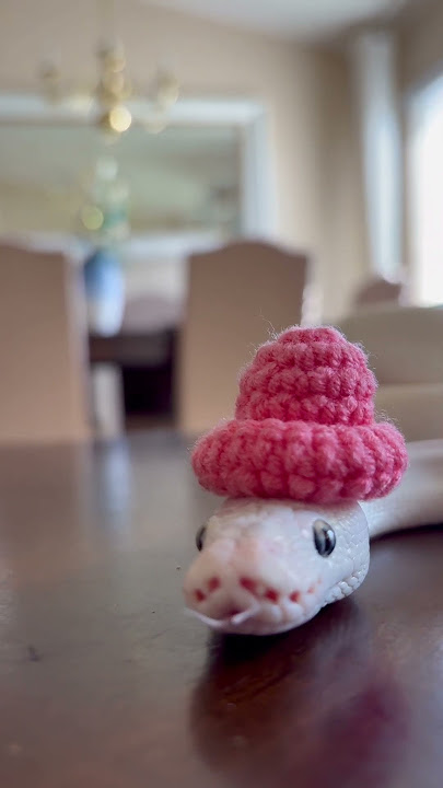 Subscribe if you want to see more of my goofy snake 🙂