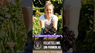 Vermikomposztálás elméletben és gyakorlatban