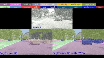 CWFA Robustness Semantic Segmentation with Transformers