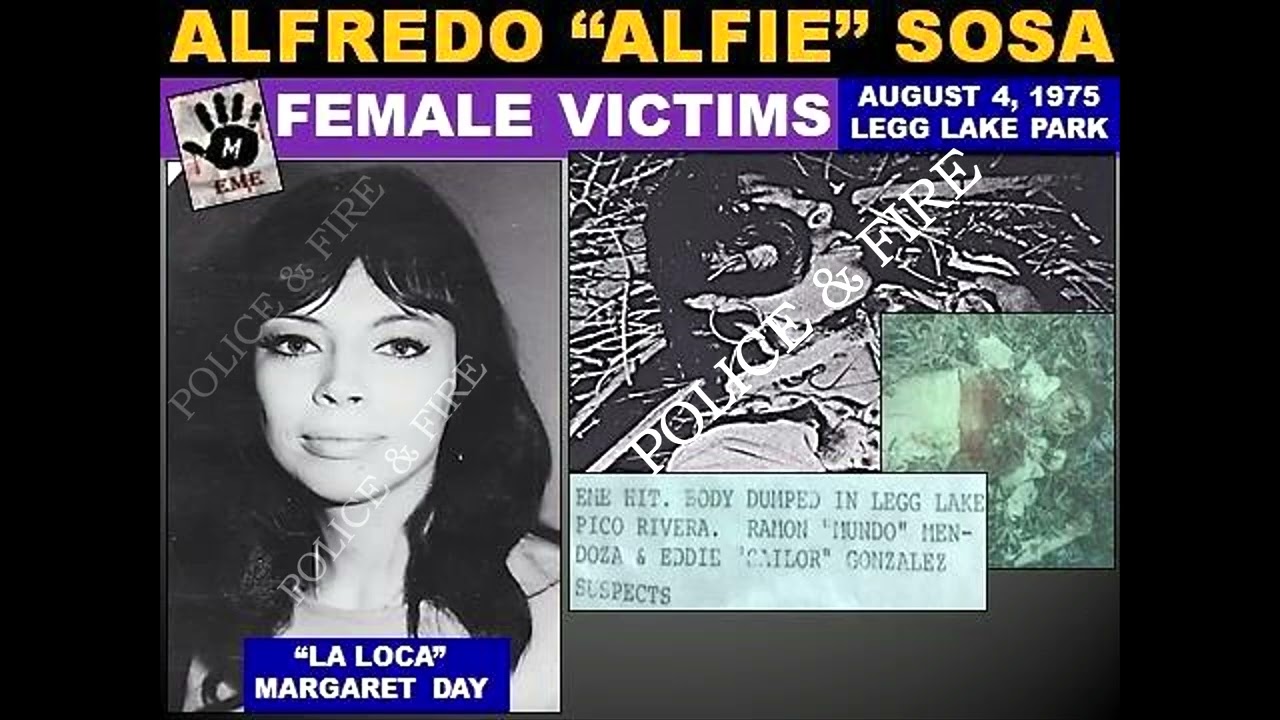 Знакомьтесь, Маленький Альфи Соса — Джо Пеши из мексиканской мафии.