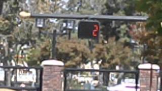 McCain Pedestrian Signal with Countdown Timer