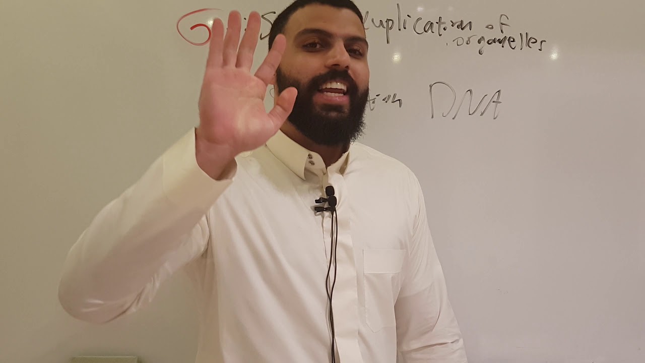 DNA repair 2 ( part 1) 