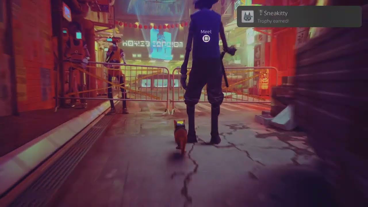 Stray - Sneakitty (SILVER)