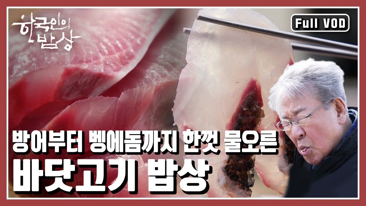 [한국인의밥상★풀버전] 방어부터 벵에돔까지 한껏 물오른 바닷고기들! 겨울 바당괴기가 맛싯수다게! (KBS 20200206 방송)