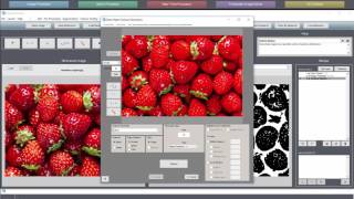TUTORIAL: Color Cluster™