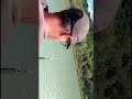 Je décroche un big silure