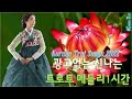 광고없는 신나는 트로트 메들리 1시간 하루 종일 들어도 좋은 노래 30곡모음 Korean Trot Songs 2022 광고없는 신나는 트로트 메들리 1시간 하루 종일 들어도 좋은 노래 30곡모음 Korean Trot Songs 2022