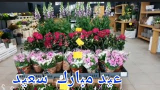 عيد مبارك سعيداعاده الله عليكم بالخير واليمن والبركات