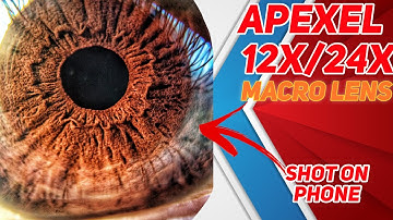 Apexel 12x24x macro lens review | Best budget macro lens